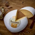 Ser Passendale Classic wg wagi